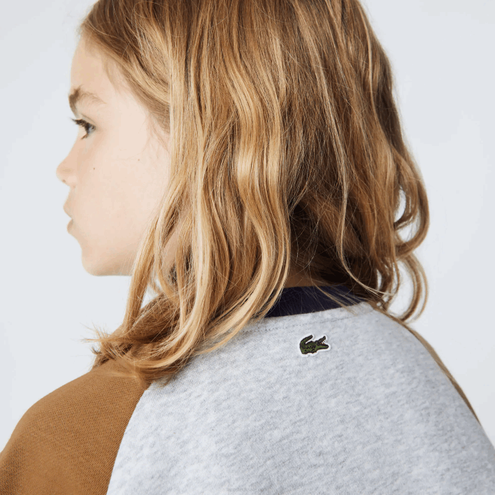 Lacoste Branded Color-Block Sweatshirt 646T3195 Grey Chine Brown Navy Blue NE1 Boys