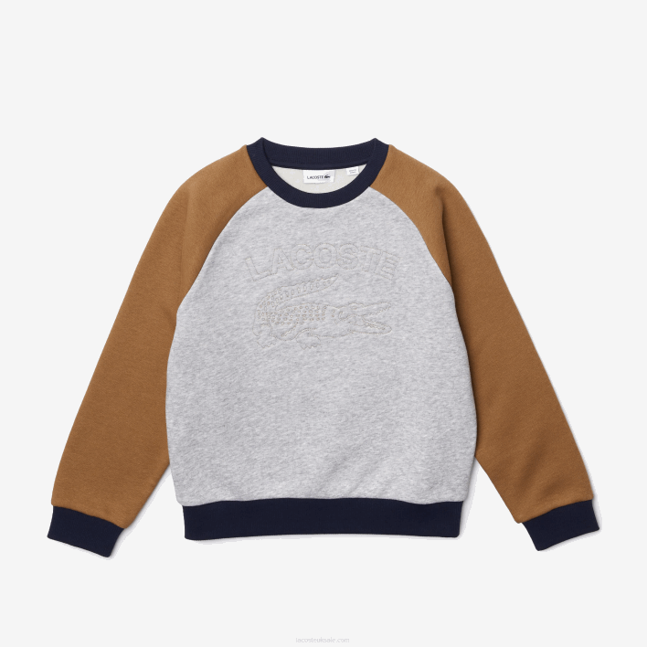 Lacoste Branded Color-Block Sweatshirt 646T3195 Grey Chine Brown Navy Blue NE1 Boys