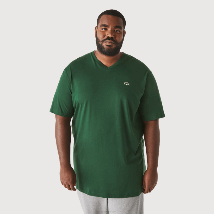 Lacoste Regular Fit Ribbed V-Neck Cotton Polo Shirt (Plus Size) 646T823 Green 132 Men