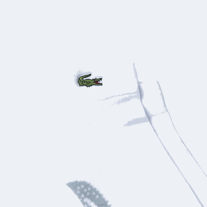 Lacoste SPORT Stretch Cotton Low-Cut Socks 646T1678 White Grey Chine G8K Men