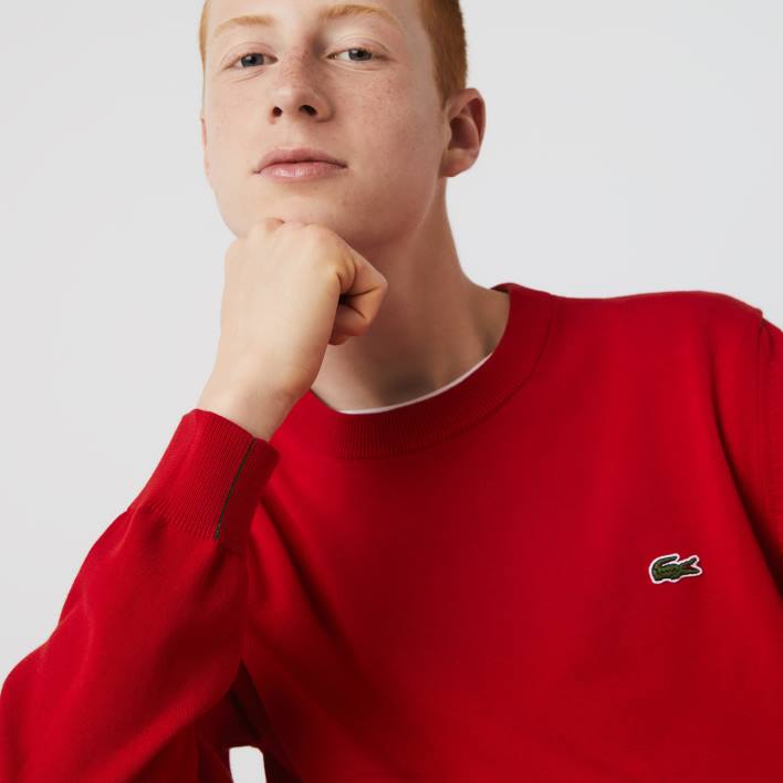 Lacoste Organic Cotton Crew Neck Sweater 646T1453 Red 240 Men