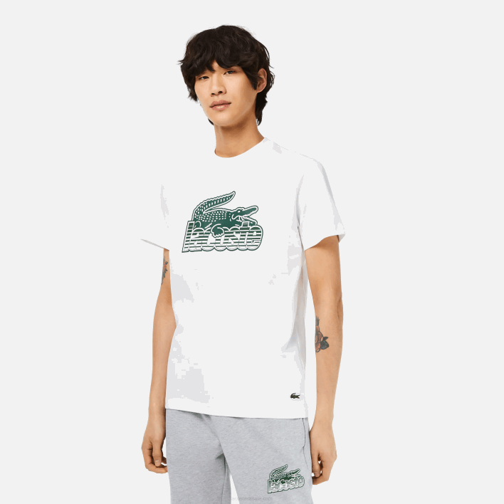Lacoste Cotton Jersey Print T-Shirt 646T63 White 001 Men