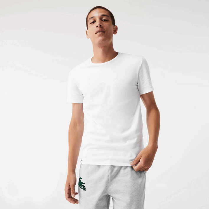 Lacoste Crew Neck Cotton T-Shirt 3-Pack 646T1349 White Grey Chine Black BXY Men