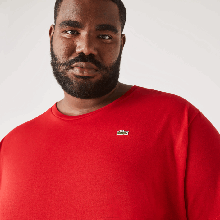 Lacoste Crew Neck XL Cotton Jersey T-Shirt 646T756 Red 240 Men