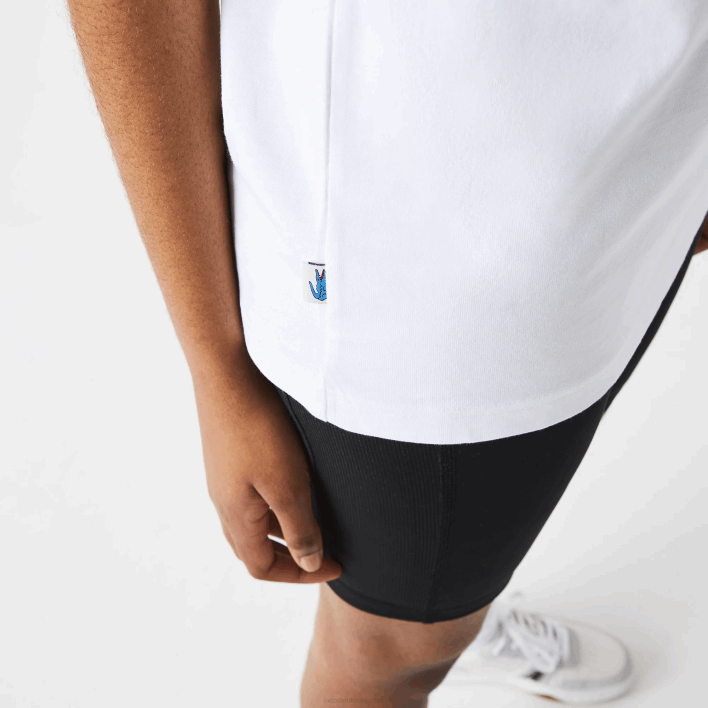 Lacoste LIVE Cotton T-shirt 646T941 White Blue Yellow D1Q Men