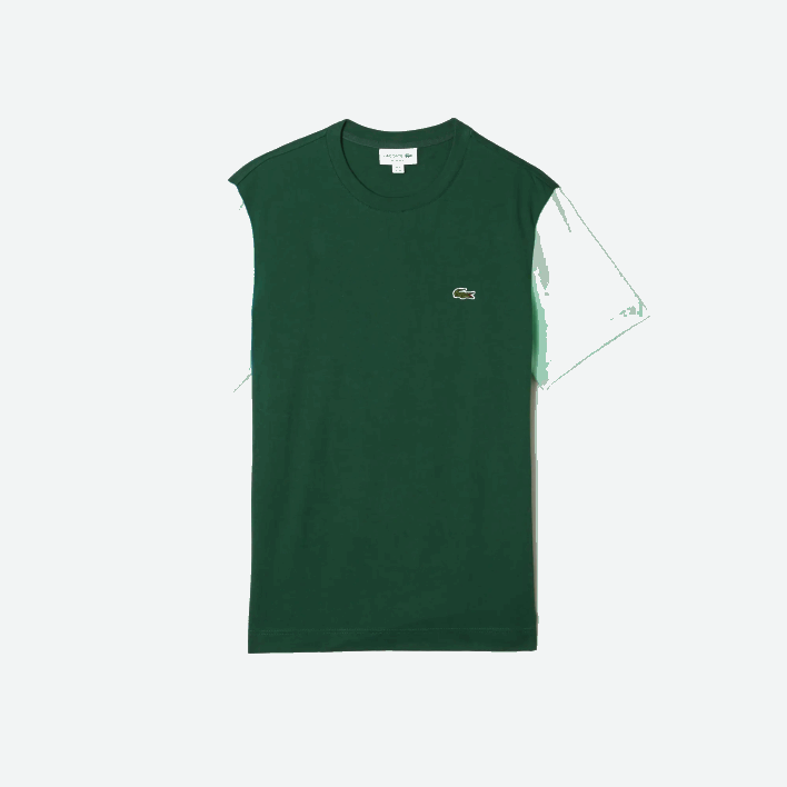 Lacoste Regular Fit Colorblock Cotton Jersey T-Shirt 646T812 Blue Light Green 8AT Men