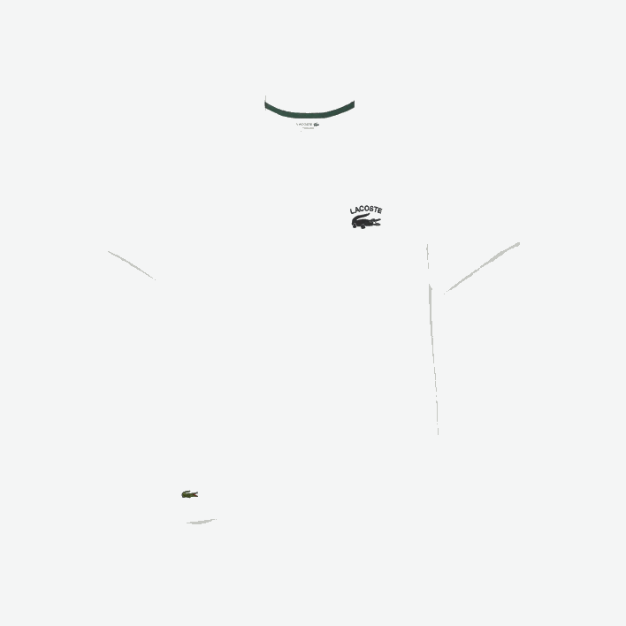 Lacoste Regular Fit Cotton Jersey T-Shirt 646T103 White 001 Men