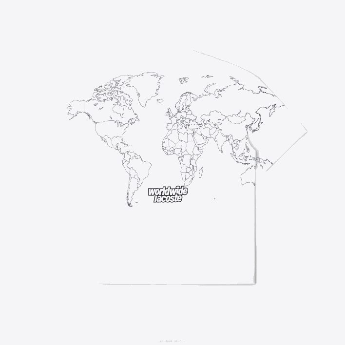 Lacoste Relaxed Fit Organic Cotton Jersey T-Shirt 646T224 White 001 Men