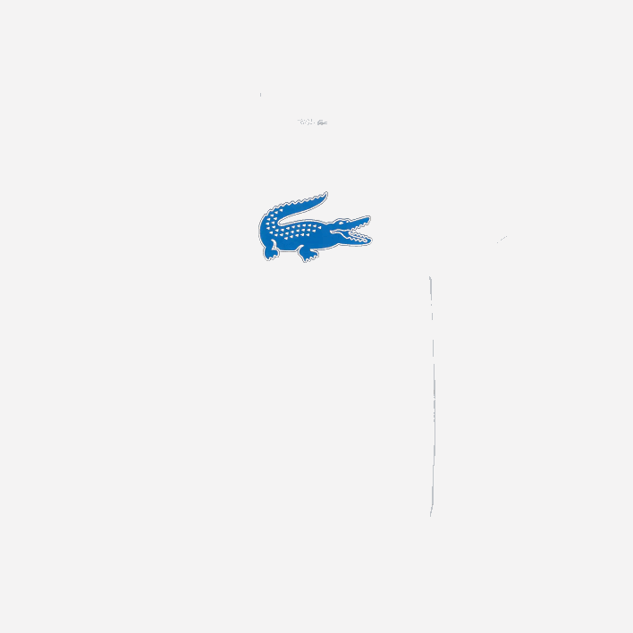 Lacoste SPORT 3D Print Crocodile Breathable Jersey T-Shirt 646T122 White Blue ANY Men