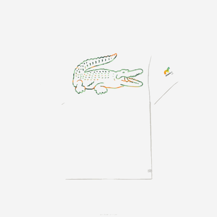 Lacoste Sport Miami Open Edition T-shirt 646T215 White 001 Men