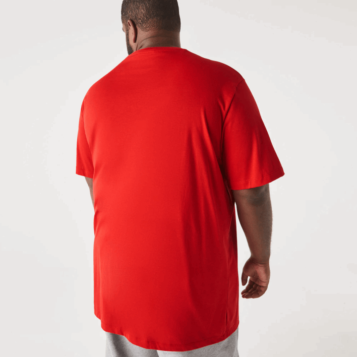 Lacoste XL Regular Fit Pima Cotton Jersey T-Shirt 646T729 Red 240 Men
