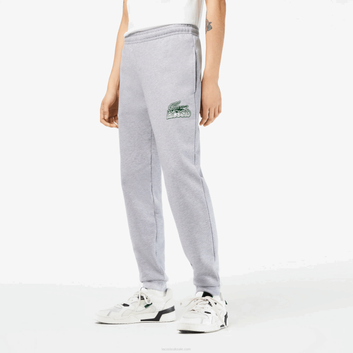 Lacoste Unbrushed Fleece Track Pants 646T308 Grey Chine CCA Men